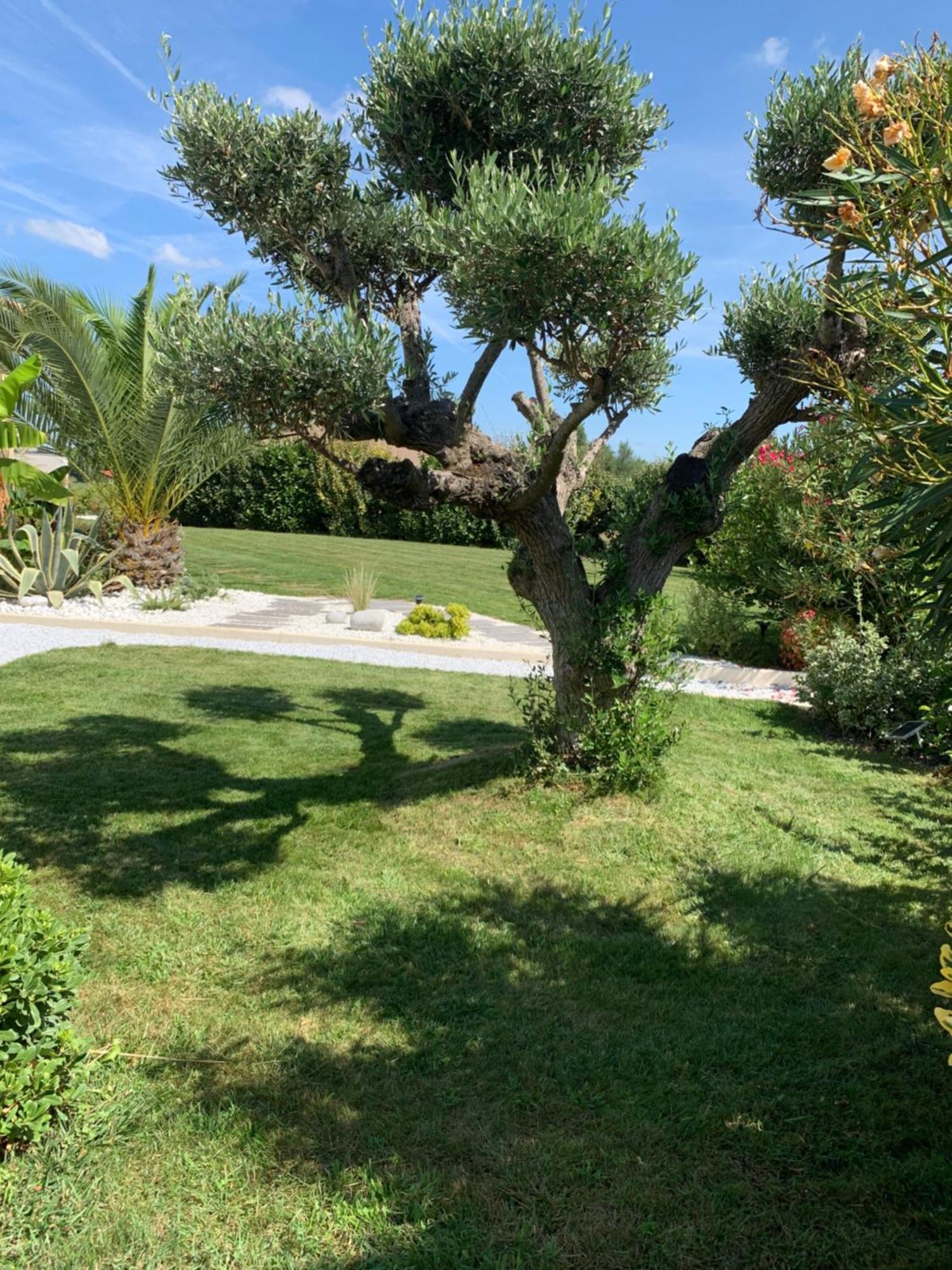 L Aparte D'eliette En Pleine Nature A 10 Mn Du Meett, 15 Mn De L Aeroport Appartement *